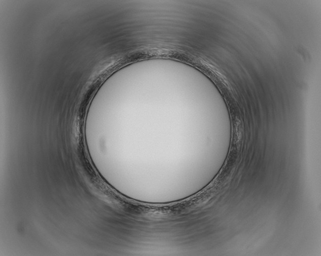 X0000110880494200906180948