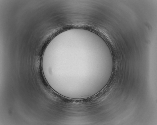 X0000110880495200906180948