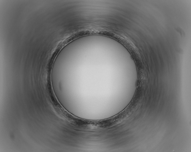 X0000110880496200906180948
