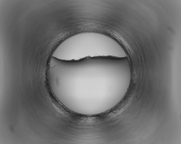 X0000110880497200906180948