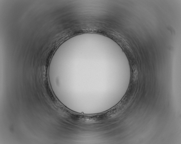 X0000110880498200906180948
