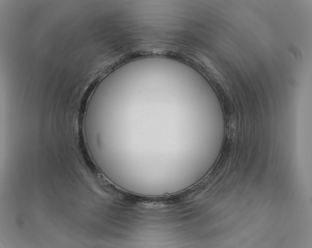 X0000110880500200906180948