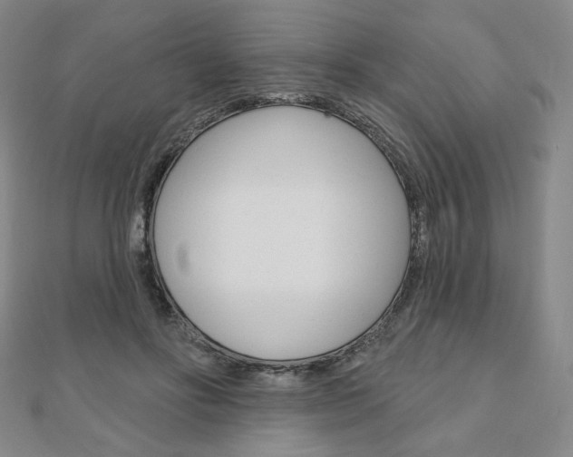 X0000110880502200906180948