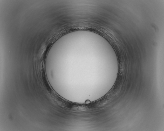 X0000110880503200906180948