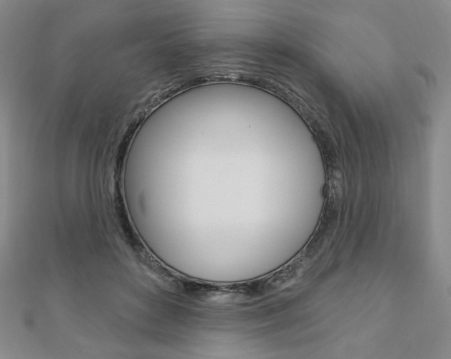 X0000110880504200906180948