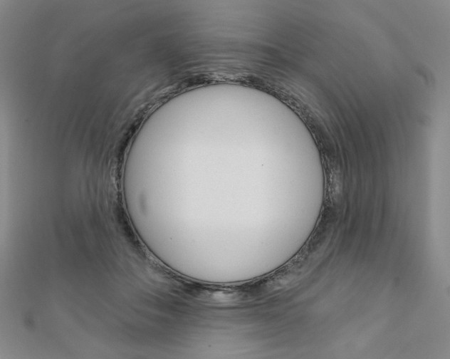 X0000110880506200906180948