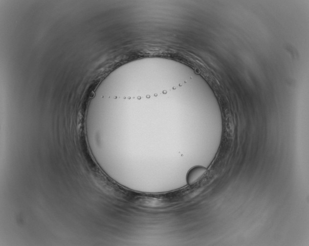 X0000110880507200906180948