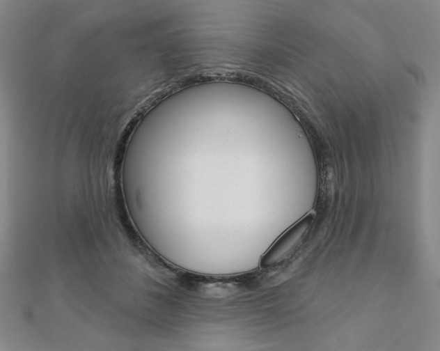 X0000110880508200906180948