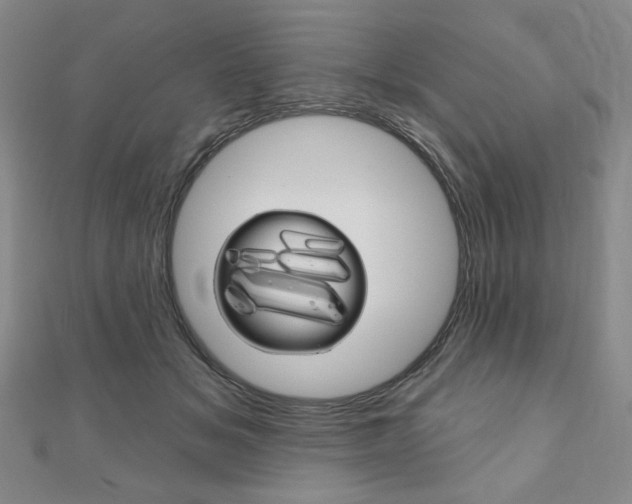 X0000110880509200906180948