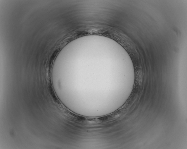 X0000110880510200906180948