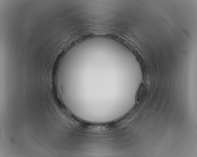 X0000110880512200906180948