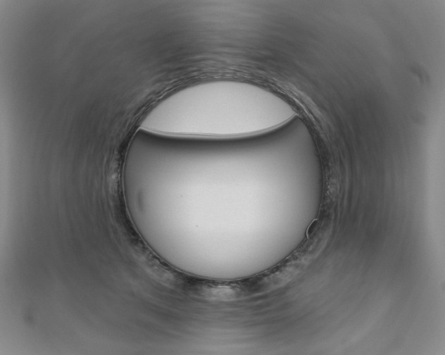 X0000110880513200906180948
