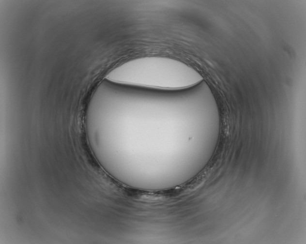 X0000110880515200906180948