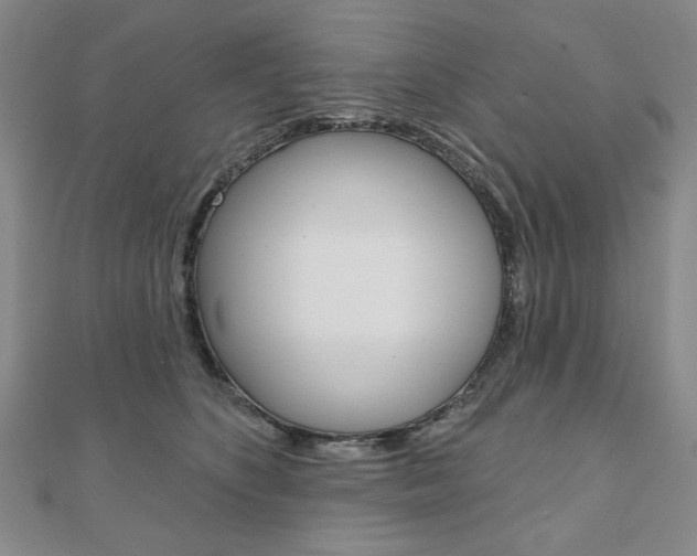 X0000110880516200906180948