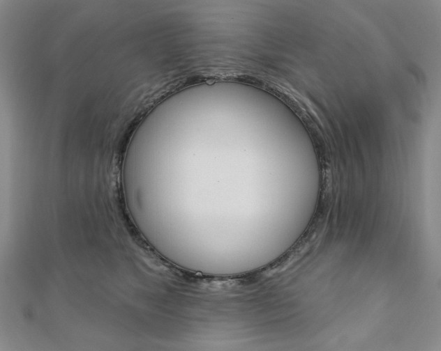 X0000110880517200906180948