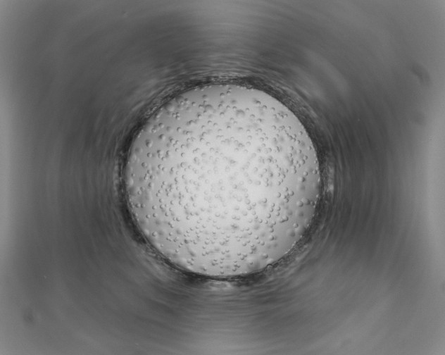 X0000110880519200906180948