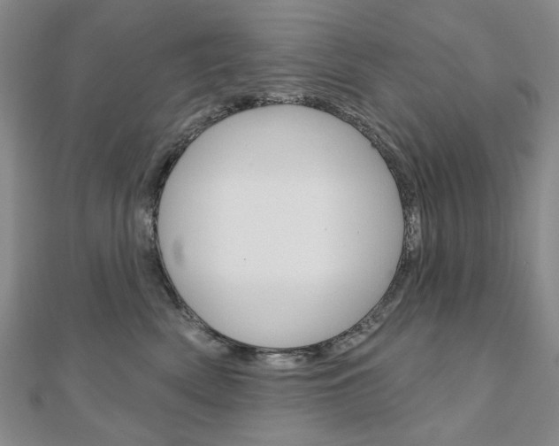 X0000110880522200906180948