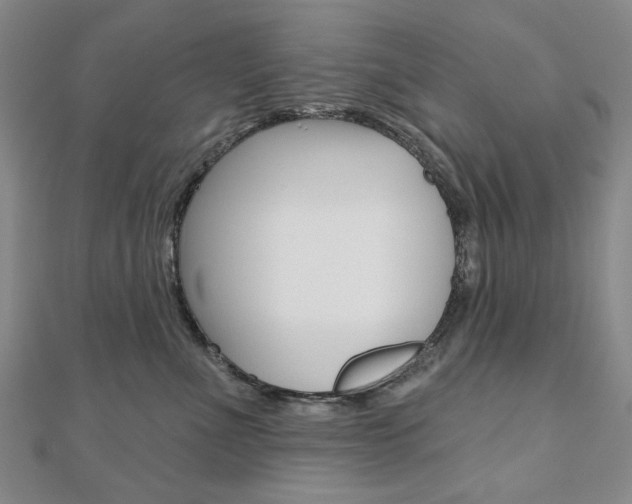 X0000110880523200906180948