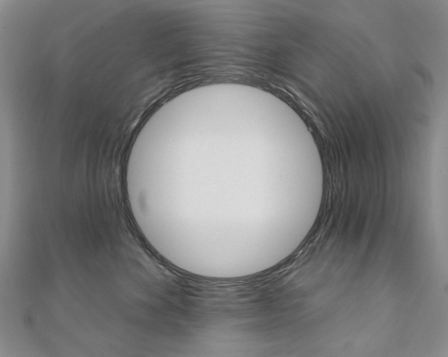 X0000110880524200906180948
