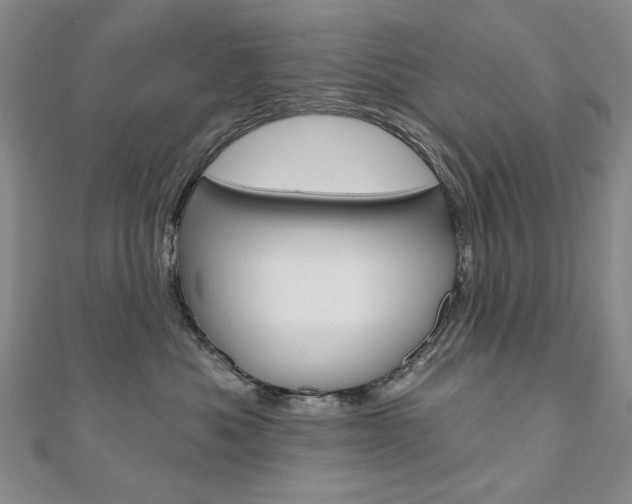 X0000110880525200906180948