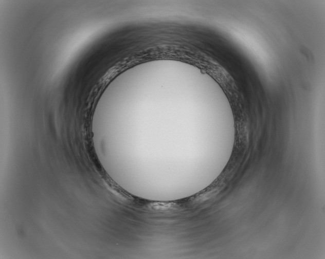 X0000110880526200906180948