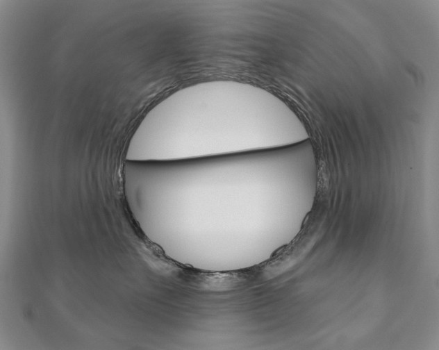 X0000110880527200906180948