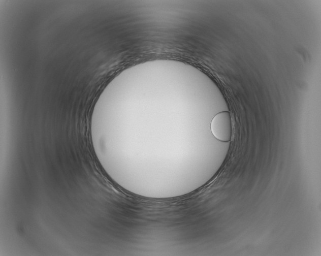 X0000110880528200906180947