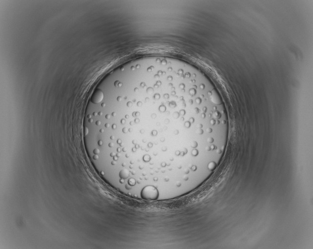 X0000110880529200906180947