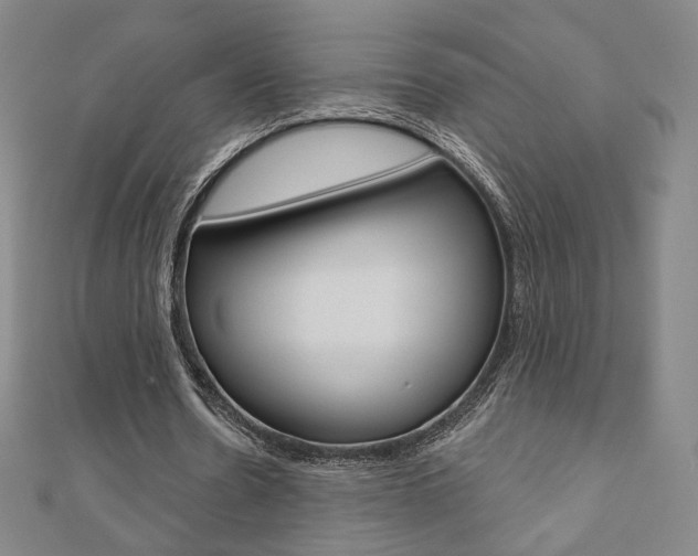 X0000110880530200906180947