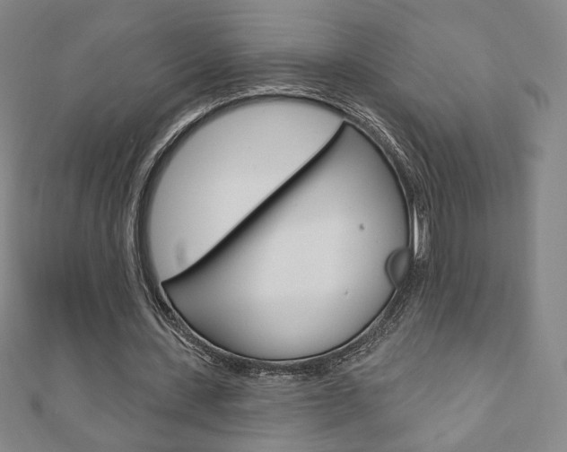 X0000110880531200906180947
