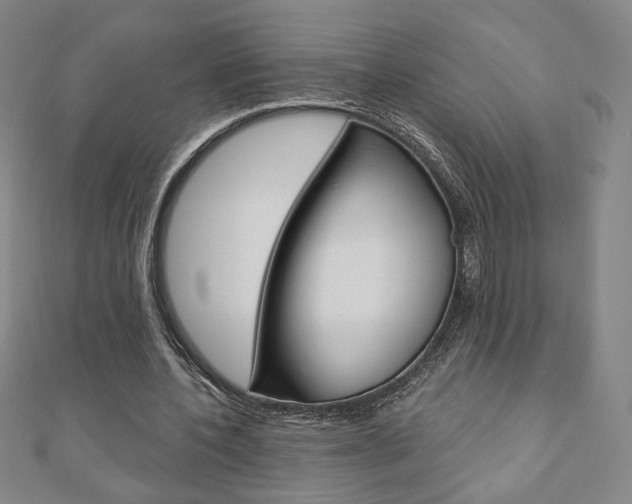 X0000110880532200906180947