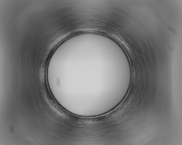 X0000110880533200906180947