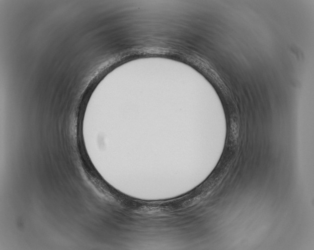 X0000110880534200906180947
