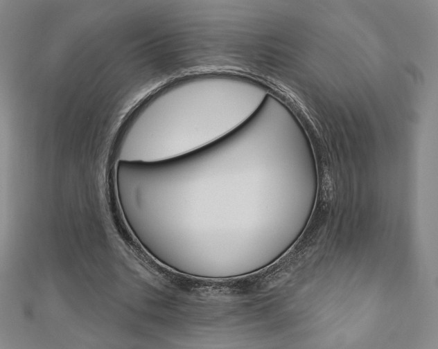 X0000110880535200906180947