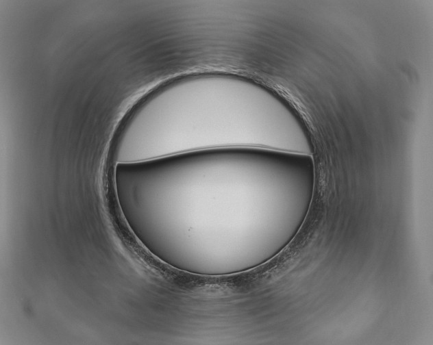 X0000110880536200906180947