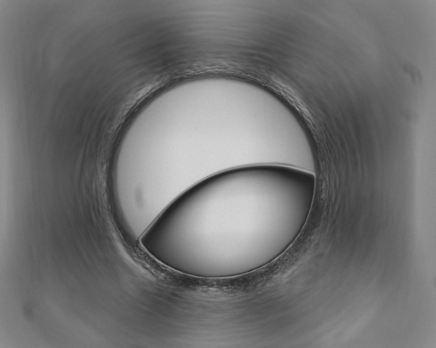 X0000110880538200906180947