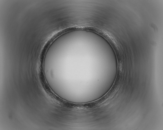 X0000110880540200906180947