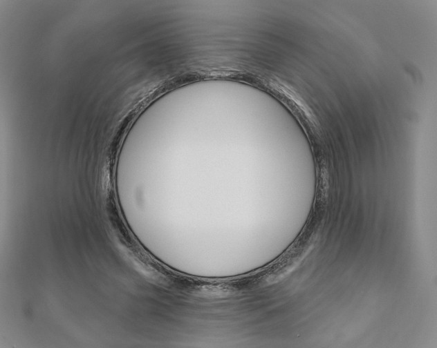 X0000110880541200906180947