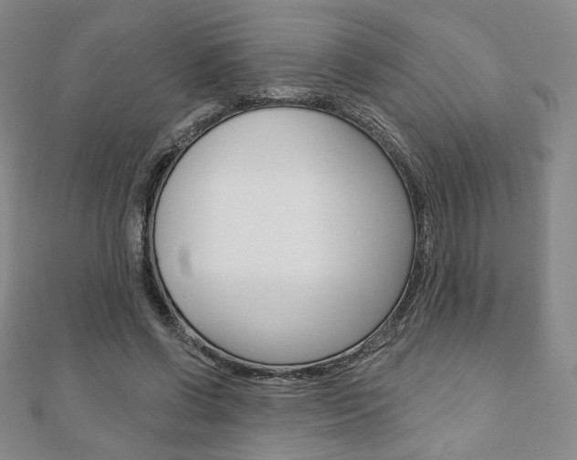 X0000110880542200906180947
