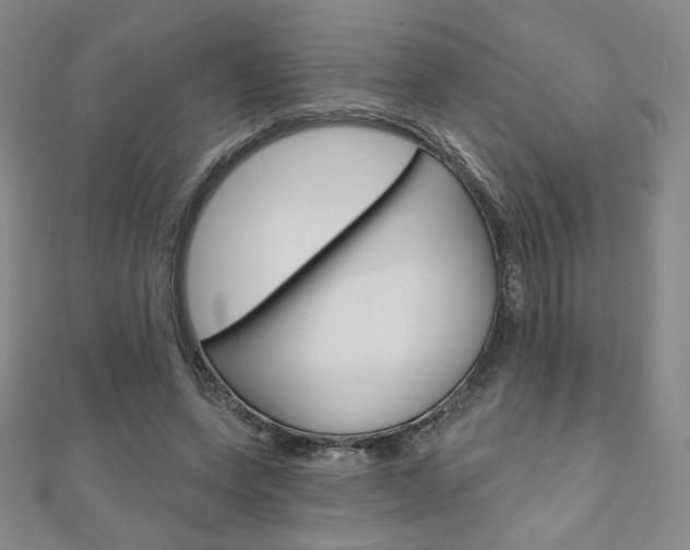 X0000110880543200906180947