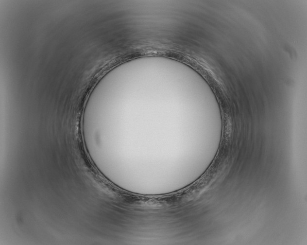 X0000110880545200906180947