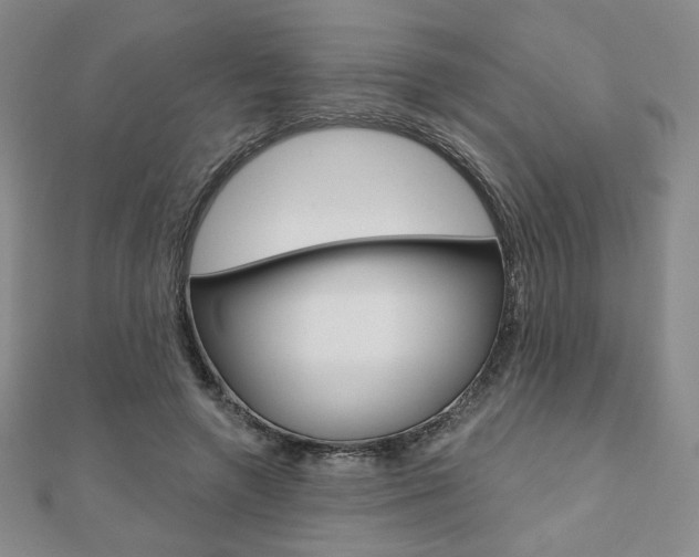 X0000110880546200906180947