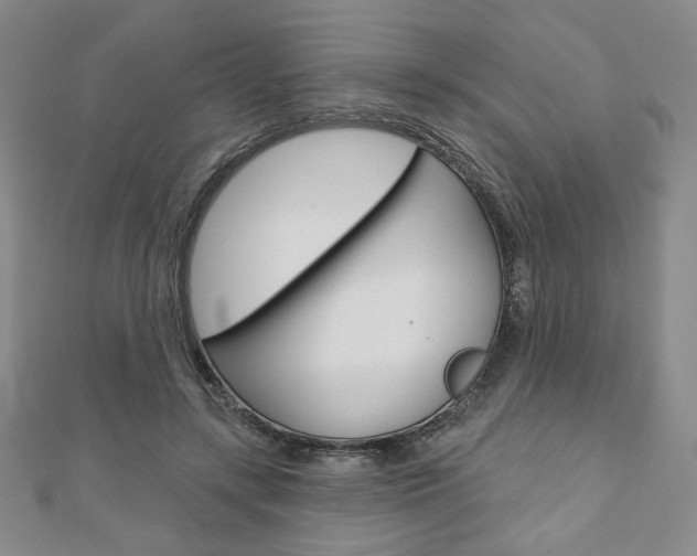 X0000110880547200906180947