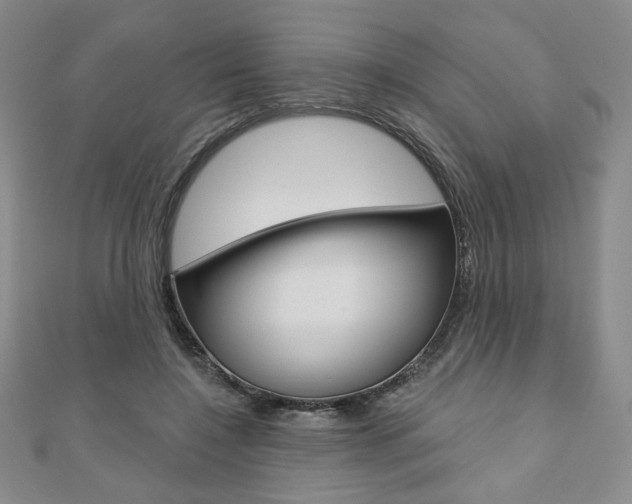 X0000110880548200906180947