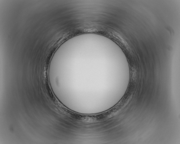 X0000110880549200906180947