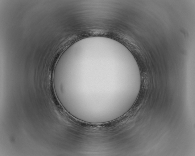 X0000110880550200906180947