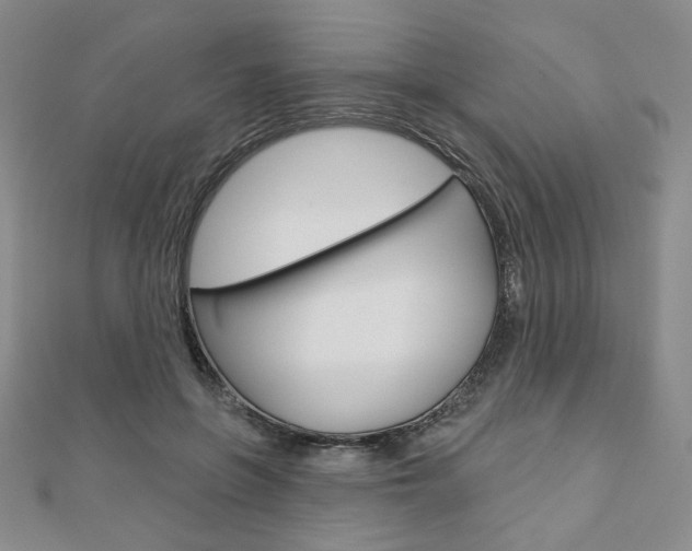 X0000110880551200906180947