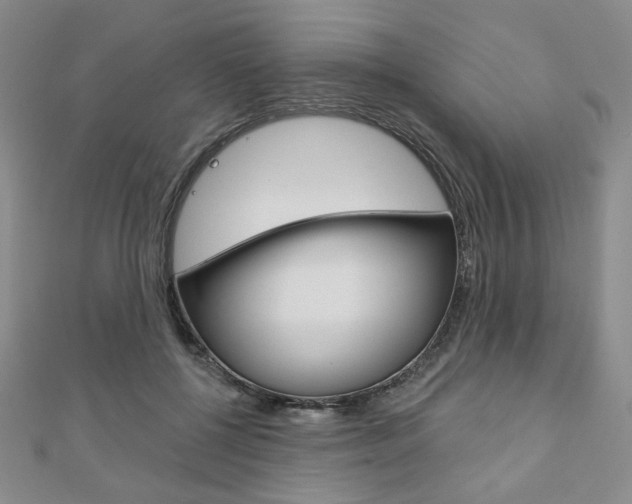 X0000110880552200906180947