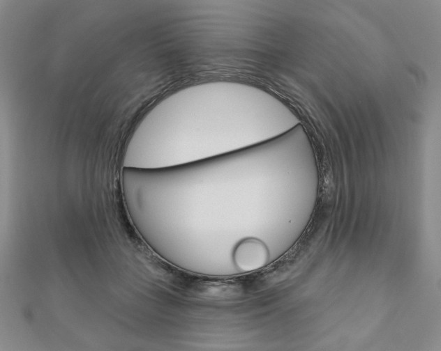 X0000110880555200906180947