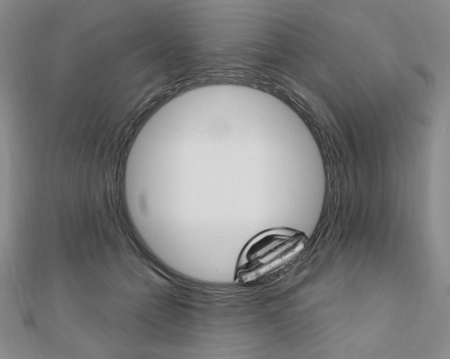 X0000110880558200906180947